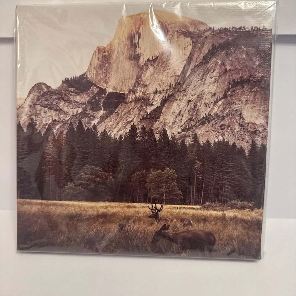 Scenic Mountain Wall Art in Brown and Green